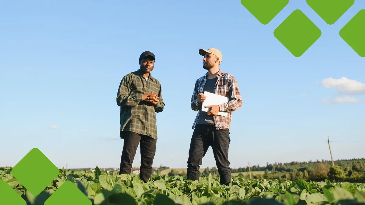 Como o público-alvo impacta as vendas no agronegócio